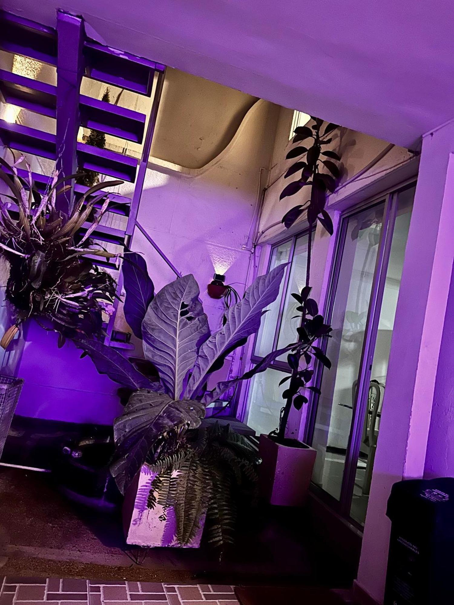Hostel Brisas Del Nevado Ibague Bagian luar foto